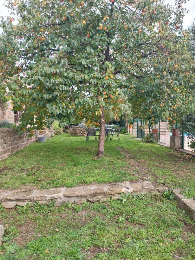 Le Mas Du Galibot Chambre Cambalotte Saint-Florent-sur-Auzonnet Dış mekan fotoğraf